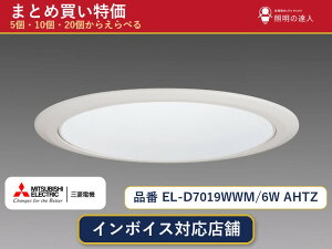 �y�I�ׂ���z�O�H�d�@ EL-D7019WWM/6W AHTZ �_�E�����C�g 1�`30��