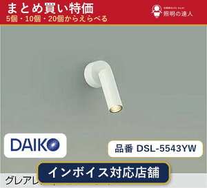 �y�܂Ƃߔ����z����d�@ DSL-5543YW �X�|�b�g���C�g 1�� 5�� 10�� 20��