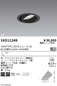 ���j�o�[�T���_�E�����C�g ��100�@synca�@�����Ɩ��@SXD1124B