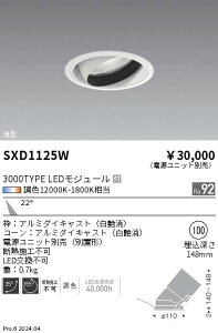 ���j�o�[�T���_�E�����C�g ��100�@synca�@�����Ɩ��@SXD1125W