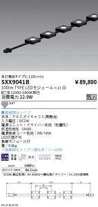 ���W���[���Ɩ��@synca�@�����Ɩ��@SXX9041B