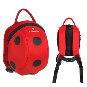 y1P10{I2000~N[|z Littlelife gCt n[lXtbNTbN Ȃ肫 n[lX bNTbN ĂƂ 傤イ GC 킢 obNpbN 1΂ O