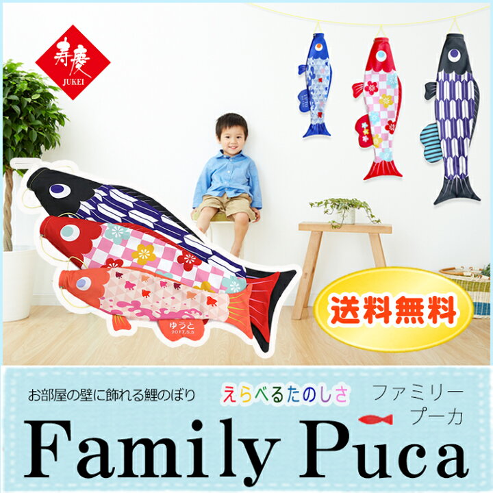 楽天市場】【Family Puca セット】 室内用 こいのぼり Family Puca 