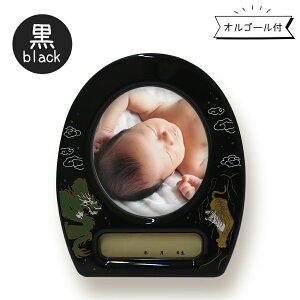 IS[t tHgt[ j̎qp F F 