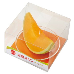 XC Lh 䋟 DLh XC[cLh n ~ nLh  v`Mtg ފ ~ ̐l̍DV[Y  T87040000