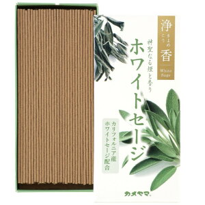   zCgZ[W ߂ 䋟 ~ v`Mtg ފ ~ I10010301