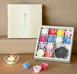 ip ԂÂMtgZbgiAj OXt 