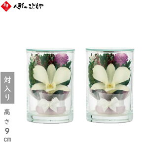 yr[Tz ~傤 ~  vG[QSA Eg Γ 7950