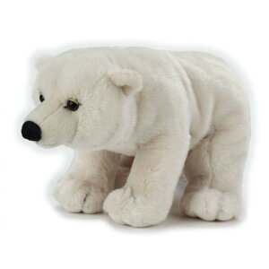 y7740842z NATIONAL GEOGRAPHIC iViWIOtBbN ʂ VN} 770842 