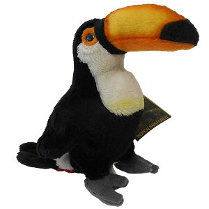 y770701fz NATIONAL GEOGRAPHIC iViWIOtBbN ʂ IInV̐Ԃ 770701F 