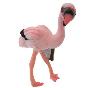 y770702fz NATIONAL GEOGRAPHIC iViWIOtBbN ʂ Rt~S̐Ԃ 770702F 