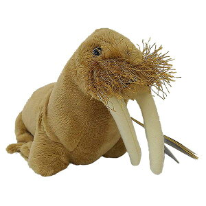 y770703ez NATIONAL GEOGRAPHIC iViWIOtBbN ʂ ZCE`̐Ԃ 770703E 