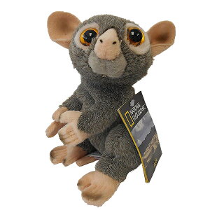 y770777dz NATIONAL GEOGRAPHIC iViWIOtBbN ʂ KlU̐Ԃ 770777D 