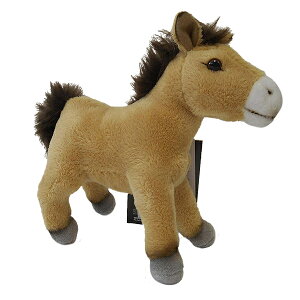 y1P10{I2000~N[|z y770777fz NATIONAL GEOGRAPHIC iViWIOtBbN ʂ ERmE}̐Ԃ 770777f n 