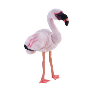 �y770760�z NATIONAL GEOGRAPHIC �i�V���i���W�I�O���t�B�b�N �ʂ������ �R�t���~���S 770760 �������