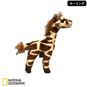 NATIONAL GEOGRAPHIC �i�V���i���W�I�O���t�B�b�N �L�[�����O �L���� 15cm 770797A �������