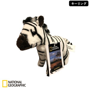 y10|Cgő10{z NATIONAL GEOGRAPHIC iViWIOtBbN L[O V}E} 10cm 770797D 