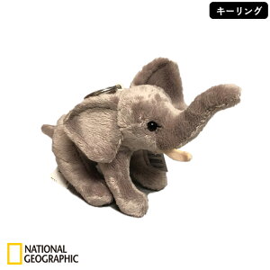 y5őP10{I2000~N[|z NATIONAL GEOGRAPHIC iViWIOtBbN L[O ]E 12cm 770795C 