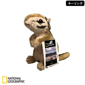 NATIONAL GEOGRAPHIC �i�V���i���W�I�O���t�B�b�N �L�[�����O �V�}���X 11cm 770796F �������