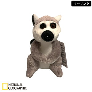 NATIONAL GEOGRAPHIC �i�V���i���W�I�O���t�B�b�N �L�[�����O �L�c�l�U�� 11cm 770796C �������