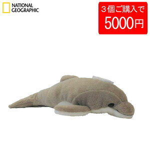 y35000~zy770704cz NATIONAL GEOGRAPHIC iViWIOtBbN ʂ CJ̐Ԃ 770704C i CJ 