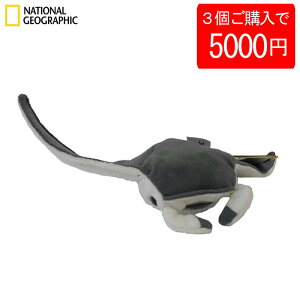 y35000~zy770704az NATIONAL GEOGRAPHIC iViWIOtBbN ʂ IjCg}LGC̐Ԃ 770704A 