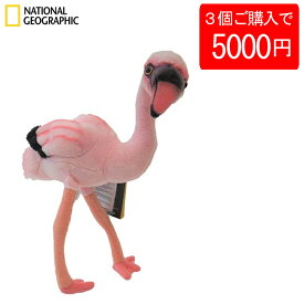 【3個で5000円】【770702f】 NATIONAL GEOGRAPHIC ナショナルジオグラフィック ぬいぐるみ コフラミンゴの赤ちゃん 770702F おしゃれ