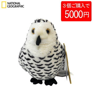 y35000~zy770705bz NATIONAL GEOGRAPHIC iViWIOtBbN ʂ VtNE̐Ԃ 770705B 