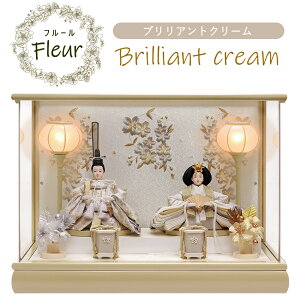 ywTz l` ؐ P[X RpNg AN ANP[X ЂȐl`  킢 eP[X  ߏ֒ e fleur t[ N[ x[W sN 