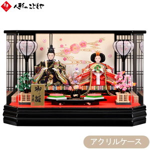 l` ЂȐl` P[X P[X RpNg  킢 eP[X obN ANpm}P[X 30-3-12  1Nۏ c