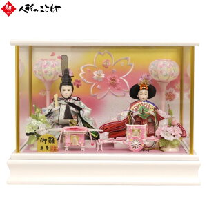 l` ЂȐl` P[X eP[X 2l RpNg  킢 zCghKXP[X SP0507  c 1Nۏ