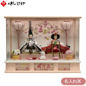 l` ЂȐl` e P[X xr[sNhKXP[X l[v[gt  e ߂񂤂 킢 SP04301 OK c 1Nۏ