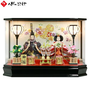 yԌN[|zzz l` ЂȐl` P[X { LED dCR[h ᓴ eP[X SP06308 hZpANpm}P[X ANP[X Zp  c 1Nۏ