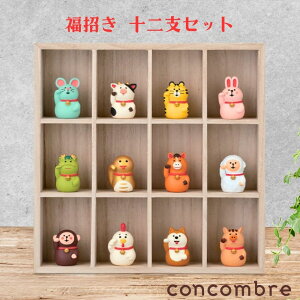 yԌN[|zzz fR Decole concomble  \xZbg eږؔ   VN G u  CeA ~jTCY 