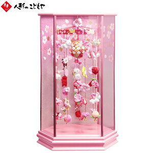 邵 ݂邵 l` ЂȐl` Zp Ȃł sN 邵 P[X  邵  X^h c P[X ЂȐl` l` ZpP[X Ȃł 