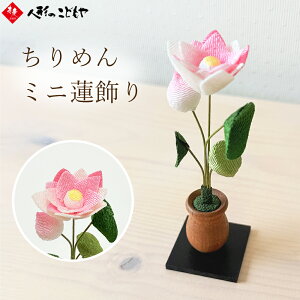 ERhE ~ RpNg ߂ @ ~ ~pi  킢 CeA ~jTCY 57-102