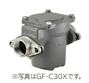 ���� GF-C30Y �����|���v �������� ���S���yhat�z