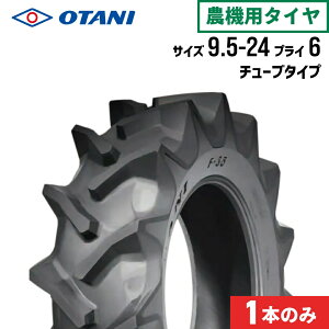 gN^[^C 9.5-24 6PR `[u^Cv 1{ F-35(OցE) OTANI I[^j