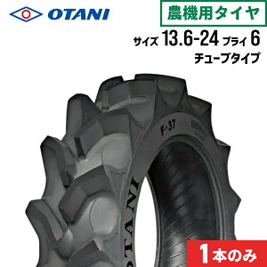 gN^[^C 13.6-24 6PR `[u^Cv 1{ F-37(nCOE֗p) OTANI I[^j