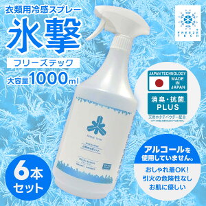 ߗޗp⊴~XgXv[ FREEZETECH 1000ml 6{ AR[t[ L R ⊴Ԏ Vc zc  ʋ t[YebN
