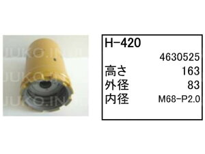 TCM zC[[_[ ZW50 nChbNGg H-420()