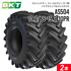 �C���v�������g�^�C�� 10.0/75-15.3 10PR �`���[�u�^�C�v AS504 2�{ BKT �o�C�A�X