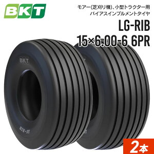 A[(Ŋ@)pCvg^C 15×6.00-6 6PR `[uX LG-RIB 2{ BKT oCAX