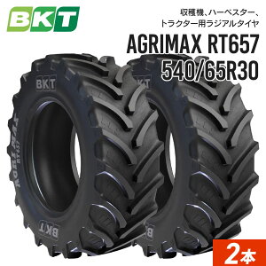 gN^[^C 540/65R30 `[uX RT657 2{ BKT WA ݊TCY 16.9R30
