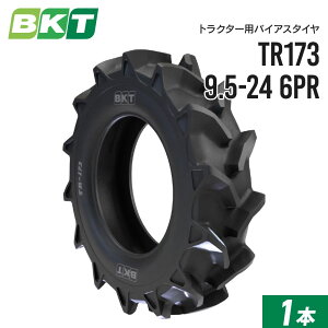 gN^[^C 9.5-24 6PR `[u^Cv TR173 1{ BKT oCAX