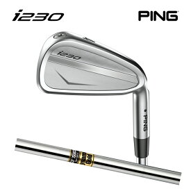 PING ピン ゴルフ i230 アイアン DYNAMIC GOLD ダイナミックゴールド スチール 5本セット (左右・ロフト選択) 日本仕様