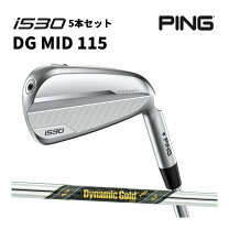 楽天市場】ダイナミックゴールド 115の通販