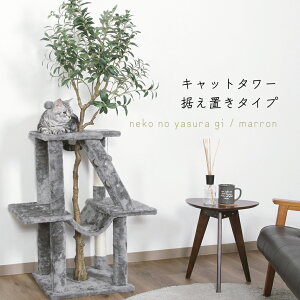 y11/5聚I2l1lő100%|CgobNvGg[zLbg^[ ˂̋x } u^Cv L cat tFCNO[ [fUC ܂Ƃ 킢  ZJ16