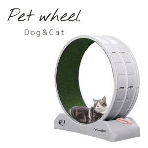 ybgp]zC[  L jO}V[ ybgƋ Pet ABS  ˂ dog cat  É[[ gyX bNut Vv g₷ DC-WHEEL-ABS 㓡ƋY