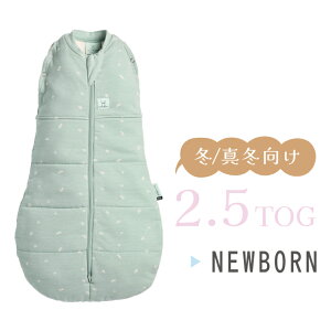 ���K�̔��X ergoPouch �G���S�|�[�` �R�N�[���X���h���o�b�O �x�r�[�A�C�e�� �Q�₦�΍� �X���[�p�[ �����Ȃ�������� �V�������� �M�t�g ���蕨 weskiii �E�F�X�L�[